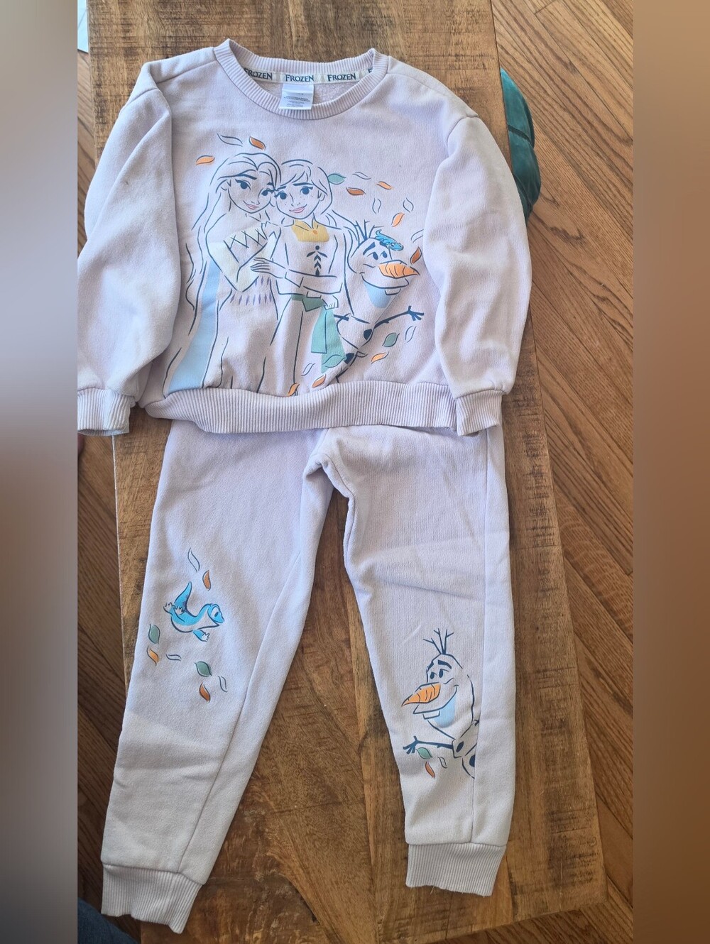 Disney Frozen 2 Sweatshirt Jogger Set Elsa Anna Olaf Bruni Fire Lizard